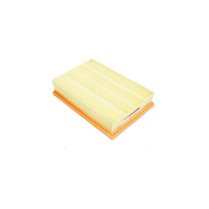 Engine Air Filter LR005816G for Freelander 2 3.2L Petrol & 2.2L TD4 Diesel
