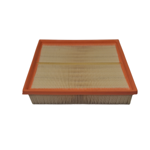 Engine Air Filter LR027408G for Defender & Discovery 2 Td5